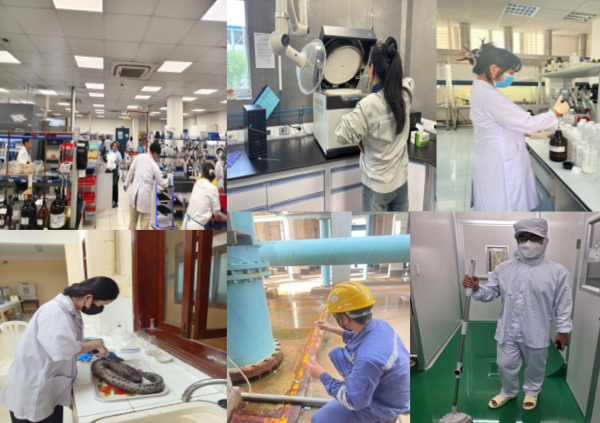 Hoạt động thực tập chuyên ngành của sinh viên K64 ngành Kỹ thuật hóa học 